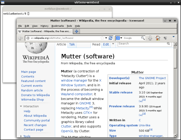 Mutter window manager